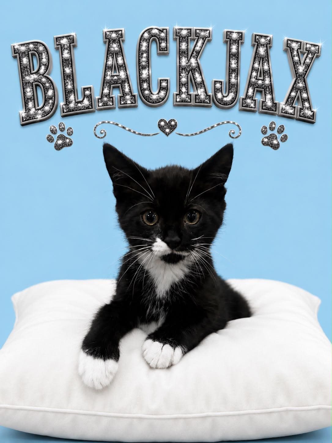 Blackjax Fcid - Kdc - Tuxedo